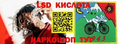 гидра Ливны