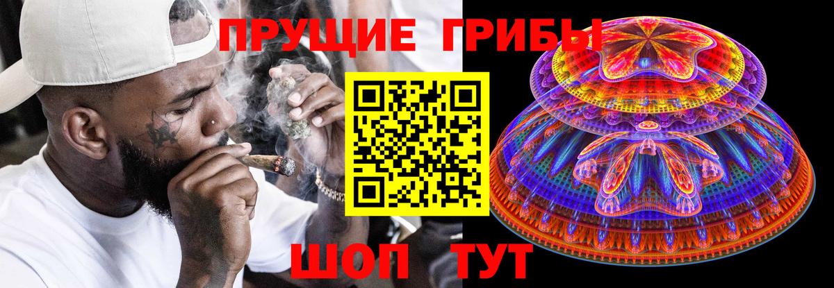 Псилоцибиновые грибы Psilocybine cubensis Дубна